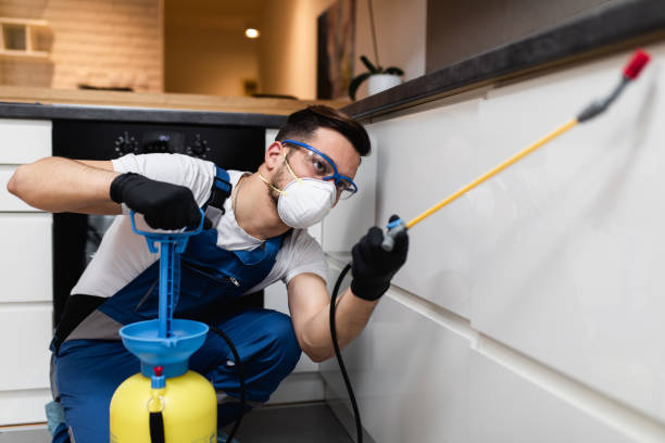 Best Local Pest Control Services  in Emmett, ID