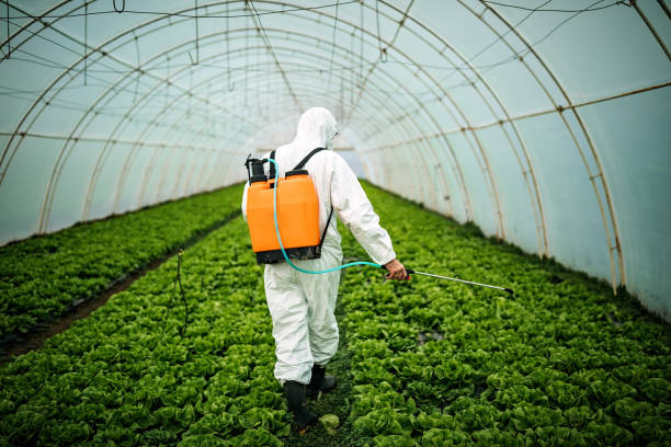 Best Best Pest Control Companies  in Emmett, ID
