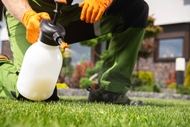 Best Affordable Pest Control Services  in Emmett, ID