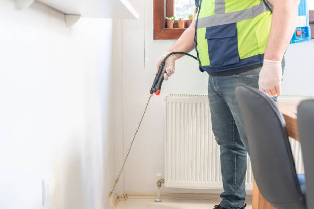 Best Wasp Removal Services  in Emmett, ID