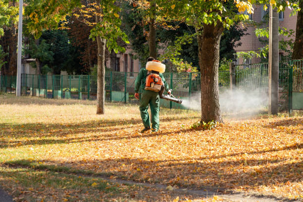 Pest Control for Restaurants in Emmett, ID