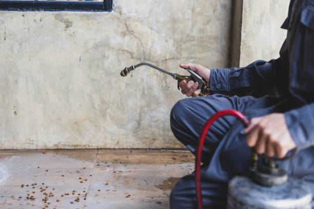 Best Exterminator Services  in Emmett, ID