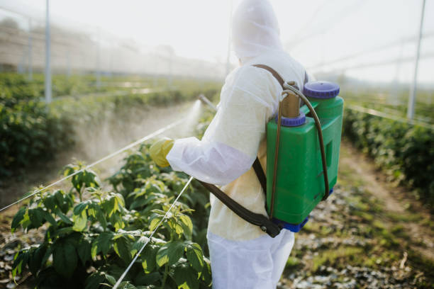 Best Commercial Pest Control Services  in Emmett, ID